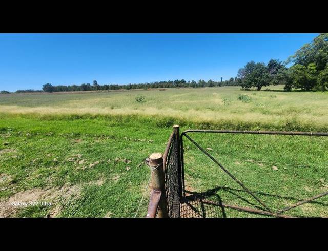 FARM FOR SALE IN WITFONTEIN